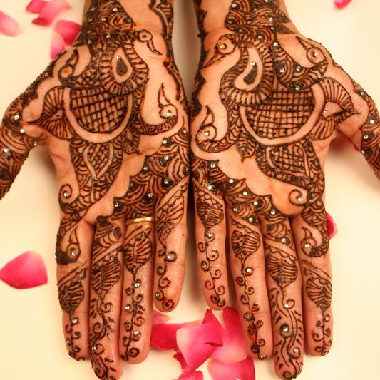 Palm Mehndi